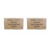 100 rds | 223 Rem 55 gr FMJ Ammo GGG
