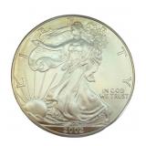 2002 American Silver Eagle Coin