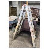 Little Giant M17 Ladder