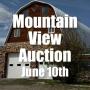 Mountain View Auction