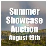 Summer Showcase Auction | August 19th
