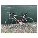 LeMond Alpe d