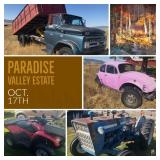 Check Out Our Next Paradise Valley Estate Auction