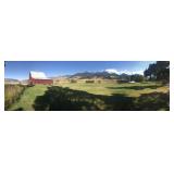 Next Auction Paradise Valley November 1st