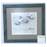 "Whitebacks" by Richard E. Bishop