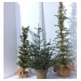 (3) Decorative Trees