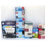 (13 Bulbs) Variety of Light Bulbs