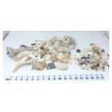 Variety & Sizes of Shells