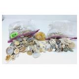 Sea Shells