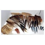 Feathers