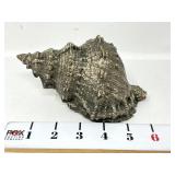 Metal Coated Conch Seashell