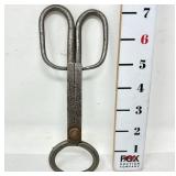 ERP KKV Antique Sugar Nippers
