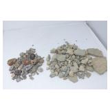 Assortment of Marine Fossils & Rocks