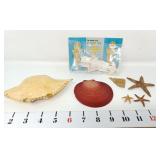 Crucifix Fish, Crab Head, Clam Shell, & Starfish