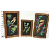 (3) Framed Feathercraft Bird Wall Art - Mexico
