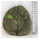 Concrete Rhubarb Leaf Bird Bath