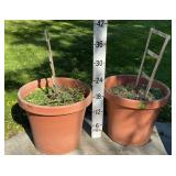 (2) Large Plastic Planters