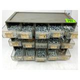 Metal Screws in Organizer