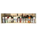Various Spray Paints - None Tested and Some Used