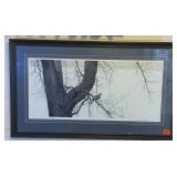 Robert Bateman ï¿½Winter Elm American Kestrelï¿½