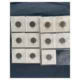 Group of 11 Indian Head Pennies