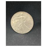 2006 American silver Eagle dollar