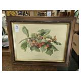 Prunes Avium by KC LOBSRCULP. 20 X 15 Inches