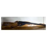 Daisy and Buck BB Gun