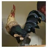 Smaller rooster in kitchen