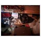 Group of Christmas and decorations under shelf
