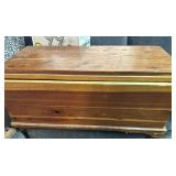 cedar trunk