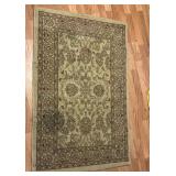 48ï¿½ x 31ï¿½ area rug