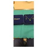 Stauer Necklace and earrings set in box.