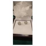 The Fanberry mint earrings