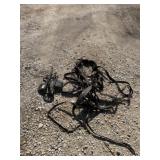Leather Horse Tack Lot