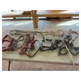 Horse Halters and Lead Ropes