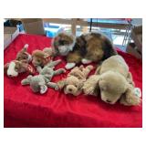 Stuffed Animal Collection