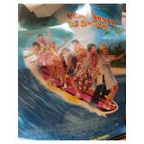 10+ movie posters, Brady Bunch, Divergent, The