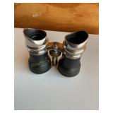 Paris Sportier jockey binoculars, 4.5x4"