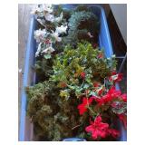 Misc garland, Holly, poinsettia, pine, some with