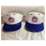 2 Vtg Hagerstown Suns baseball caps, show some