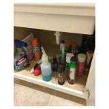 Contents of cupboard- cleaning supplies, etc.
