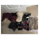 7+ Scarves (some nwt)