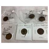 6 1896-1904 Indian head one cent coins