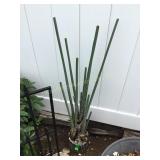 2 Bases for Fake Palm frowns 40'