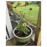 Ceramic flower pot W/ coneflower 11 1/2' tall  x