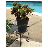 Potted croton plant - 14' plastic pot w/ metal