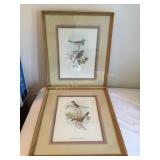 2 wood framed pictures 20" x 24"