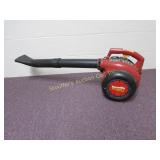 Electric homelite yard broom