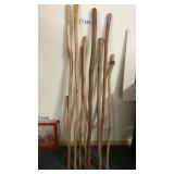 WALKING STICKS